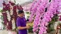 Sôi động thị trường hoa Tết