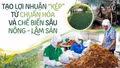 Tạo lợi nhuận “kép” từ chuẩn hóa và chế biến sâu nông - lâm sản