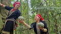Theo chân đồng bào Dao đỏ lên rừng tìm lá thuốc