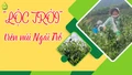“Lộc trời” trên núi Ngải Trồ