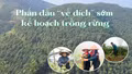 Phấn đấu “về đích” sớm kế hoạch trồng rừng