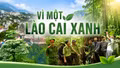 Vì một Lào Cai xanh