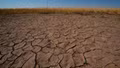 New Zealand xác nhận El Niño mạnh: Vì sao châu Á cần đặc biệt cảnh giác?