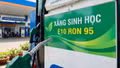 Xăng E10 và RON95 khác nhau thế nào trước thời điểm bán đại trà?
