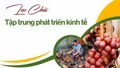 Lao Chải tập trung phát triển kinh tế