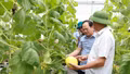 Xã Xuân Quang học tập kinh nghiệm chuyển đổi số, phát triển nông nghiệp công nghệ cao tại xã Thiệu Hóa