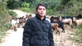 Bám đất, bám bản vươn lên từ chăn nuôi nơi vùng cao