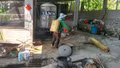 Phường Nghĩa Lộ chủ động phòng, chống dịch tả lợn châu Phi