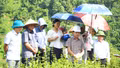 Võ Lao đánh giá mô hình khảo nghiệm cây nhân trần