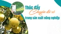 Thúc đẩy chuyển đổi số trong sản xuất nông nghiệp