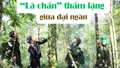 “Lá chắn” thầm lặng giữa đại ngàn