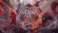 Virus Hanta nguy hiểm đến mức nào?