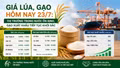 Giá lúa, gạo hôm nay 23/7: Thị trường trong nước ổn định, gạo xuất khẩu tiếp tục khởi sắc
