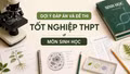 Cập nhật đề thi, đáp án môn Sinh học tốt nghiệp THPT 2026 nhanh mới nhất