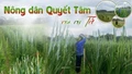  Nông dân Quyết Tâm vào vụ Tết