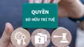 Ra quân ngăn chặn, xử lý hành vi xâm phạm quyền sở hữu trí tuệ trên toàn quốc từ 07/5 - 30/5/2026