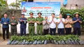 Liên Sơn trao 2.000 cây quế tặng thân nhân liệt sĩ, lan tỏa nghĩa cử “Uống nước nhớ nguồn”