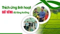 Thích ứng linh hoạt giữ vững đà tăng trưởng