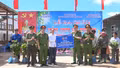 Hạnh Phúc ra quân trồng 100 ha cây dược liệu 