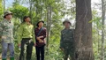 Lào Cai giảm 73 vụ vi phạm pháp luật về lâm nghiệp so với năm 2024