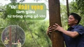 "Xây" khát vọng làm giàu từ trồng rừng gỗ lớn 