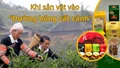 Khi sản vật vào “đường băng cất cánh”