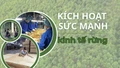 Kích hoạt sức mạnh kinh tế rừng