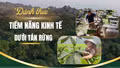 "Đánh thức" tiềm năng kinh tế dưới tán rừng