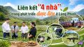 Liên kết “4 nhà” trong phát triển dược liệu ở Lùng Phình