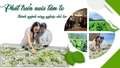 Phát triển nuôi tằm tơ thành ngành nông nghiệp chủ lực