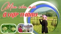 Mùa cốm mới ở Hợp Thành