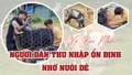 Xã Bảo Nhai: Người dân thu nhập ổn định nhờ nuôi dê