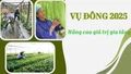Vụ đông 2025: Nâng cao giá trị gia tăng