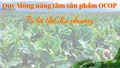  Quy Mông nâng tầm sản phẩm OCOP từ lợi thế địa phương 