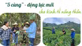 "5 cùng" - động lực mới cho kinh tế nông thôn