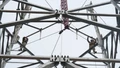 “Vượt nắng, thắng mưa” trên công trường thi công Dự án đường dây 500 kV Lào Cai - Vĩnh Yên