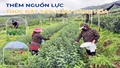Thêm nguồn lực thúc đẩy sản xuất hàng hóa