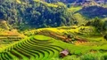 10 tháng năm 2025, Lào Cai đón 9,4 triệu lượt khách du lịch