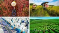 21 lĩnh vực giám định tư pháp trong nông nghiệp và môi trường