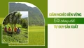 Giảm nghèo bền vững từ thay đổi tư duy sản xuất