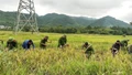 Khắc ghi lời dạy thứ tư