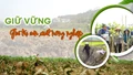 Giữ vững giá trị sản xuất nông nghiệp