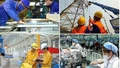 Doanh nghiệp nhà nước được trao thêm nhiều quyền tự chủ