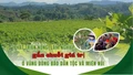Phát triển nông, lâm nghiệp gắn chuỗi giá trị ở vùng đồng bào dân tộc và miền núi