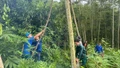 Ra quân tình nguyện hỗ trợ thi công Dự án Đường dây 500kV Lào Cai - Vĩnh Yên