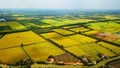 Chính phủ thông qua nội dung dự thảo về một số cơ chế, chính sách tháo gỡ khó khăn, vướng mắc trong thi hành Luật Đất đai