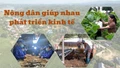 Nông dân giúp nhau phát triển kinh tế