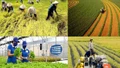 Ra mắt sổ tay hướng dẫn nhiệm vụ của chính quyền cấp xã lĩnh vực nông nghiệp và môi trường