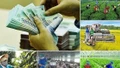 Gỡ vướng cho các chương trình mục tiêu quốc gia khi triển khai mô hình chính quyền địa phương 2 cấp