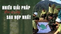 Nhiều giải pháp bảo vệ rừng sau hợp nhất
